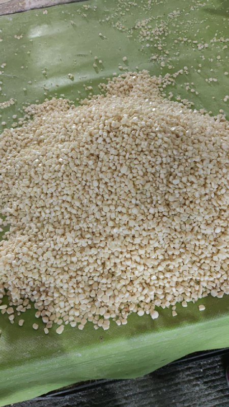 50: kilo de grano de maiz primera sección #subasta