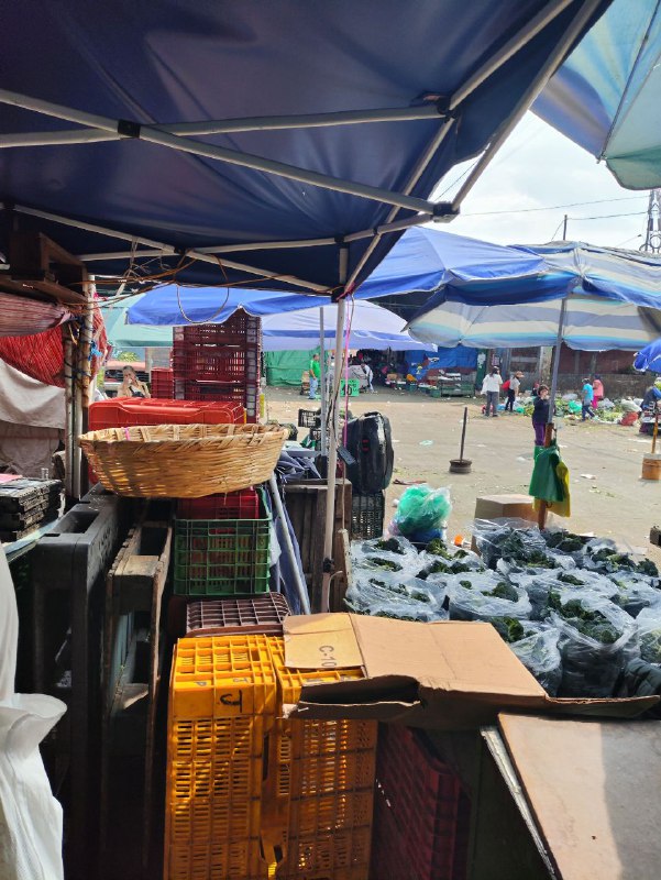 15: kilo brócoli en segunda sección en #subasta al inicio15: kilo brócoli en segunda sección en #subasta al inicio