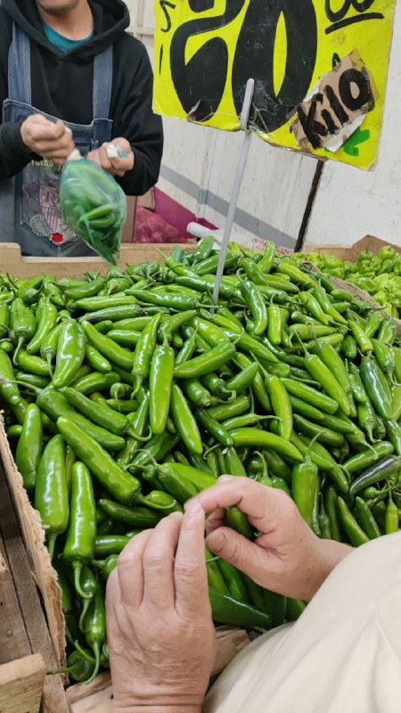 20: kilo chile verde #L_60B