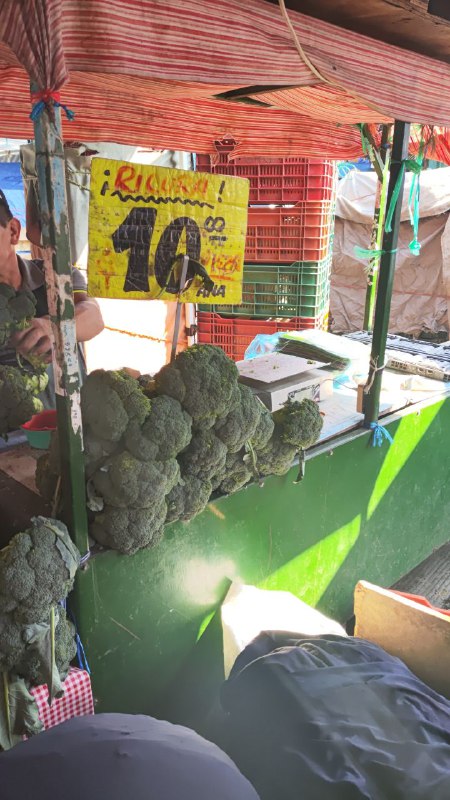 10: kilo de brócoli segunda sección #sibasta