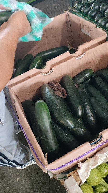 18: kilo pepino primera sección en #subasta
