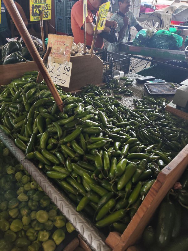 40: kilo chile serrano en tercera sección #subasta40: kilo chile serrano en tercera sección #subasta