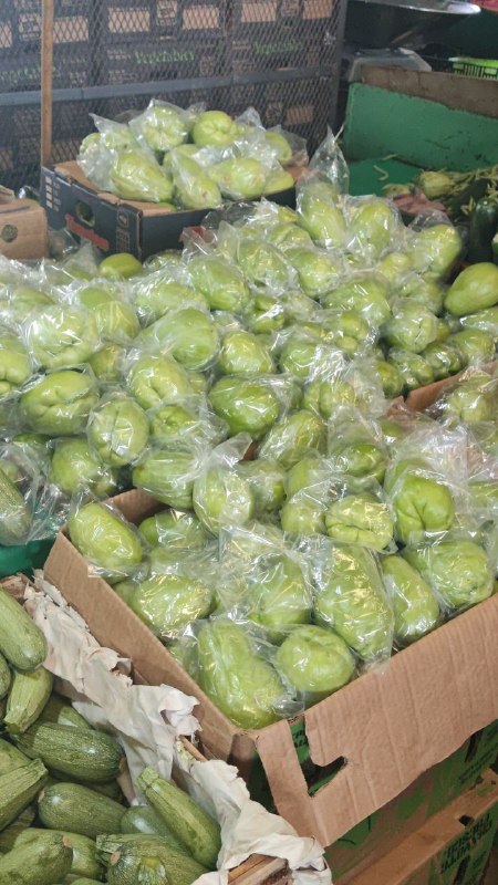 15: kilo chayote primera sección #subasta
