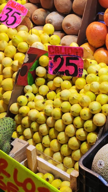 25: kilo guayaba #J_8