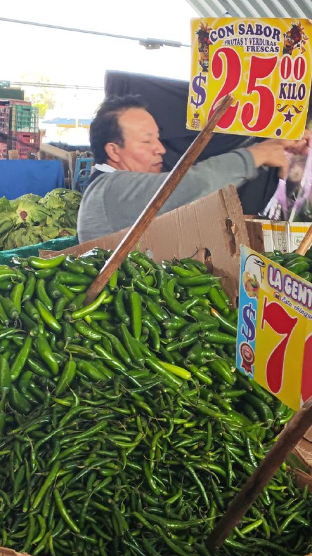 25: chile serrano kilo #subasta tercera sección