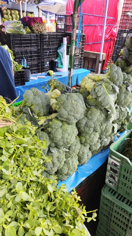 15: kilo brócoli segunda sección #subasta