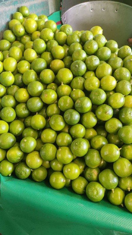 11: kilo limón tercera sección #subasta
