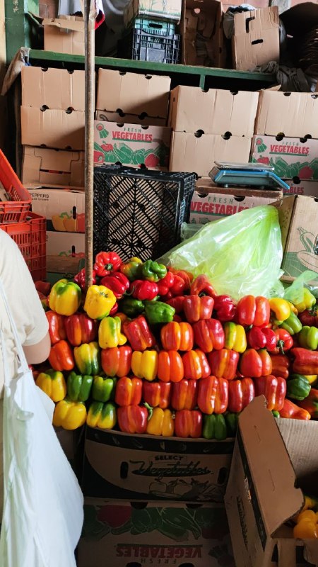 20: kilo chile morrón #subasta segunda sección