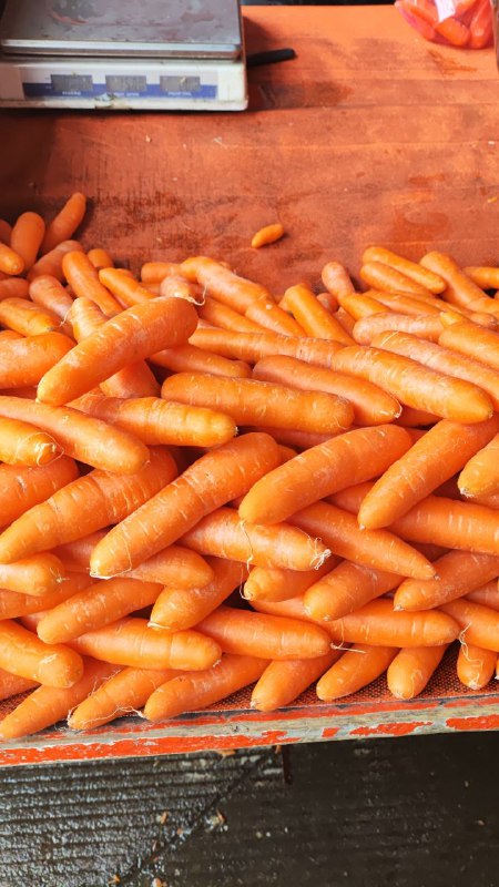 10: kilo zanahoria en primera sección en #subasta