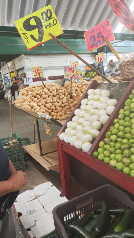 :9 kilo de cebolla tercera sección #subasta