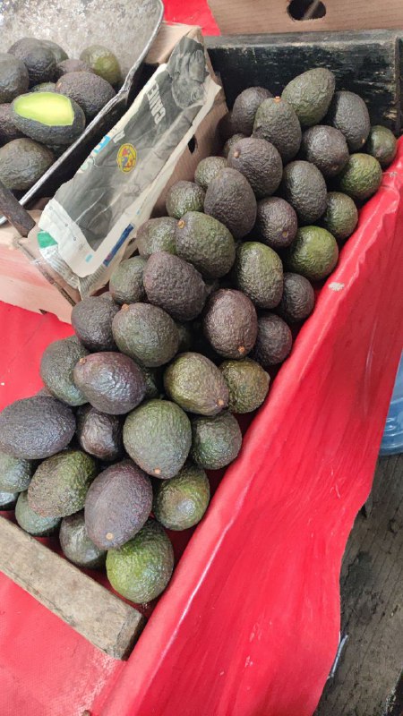 35: kilo aguacate tercera sección de #subasta