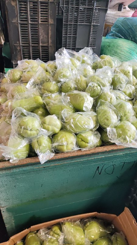 15: kilo de chayote tercera sección #subasta