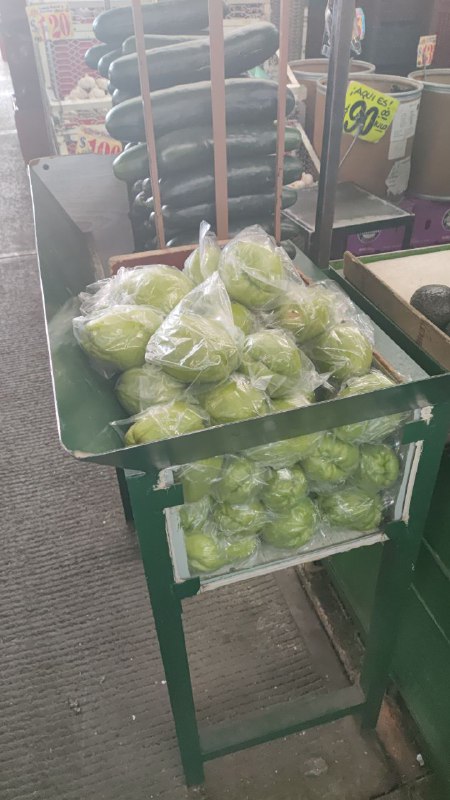 15: kilo chayote tercera sección #subasta