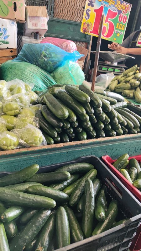15: kilo pepino tercera sección #subasta